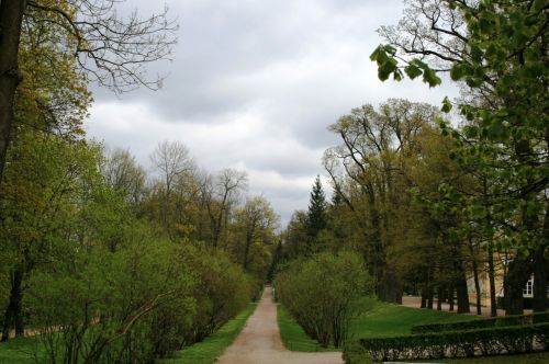 Kelias,  Pėsčiųjų,  Krūmai,  Medžiai,  Žalias,  Sodas,  Sodai Prie Tsarskoe Selo Dvaro