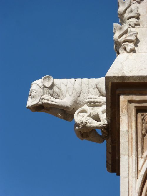 Gargoyle, Gotika, Taragonos Katedra, Tarragona, Dangus