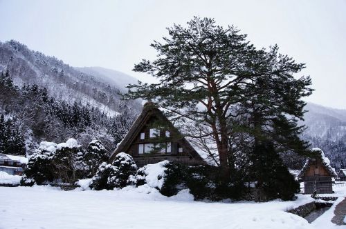 Gassho Kaimas,  Sniegas,  Japonija,  Žiema,  Kalnas,  Namas