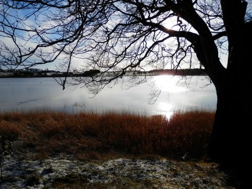 Gelly Loch, Loch, Ežeras, Gamta, Kraštovaizdis