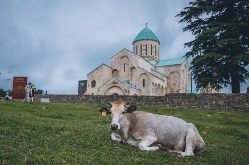 Švč. Trejybės Bažnyčia Gruzijoje, Karvė, Kraštovaizdis