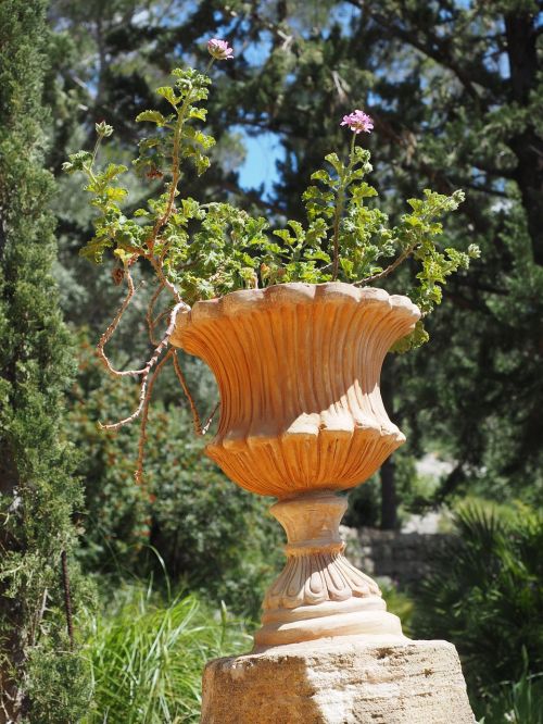 Geranium, Žiedas, Žydėti, Gėlė, Rožinis, Pelargonium Grandiflorum, Sodo Geranija, Gelės Vazonas, Keramika