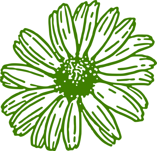 Gerbera, Daisy, Žalias, Gėlė, Nemokama Vektorinė Grafika