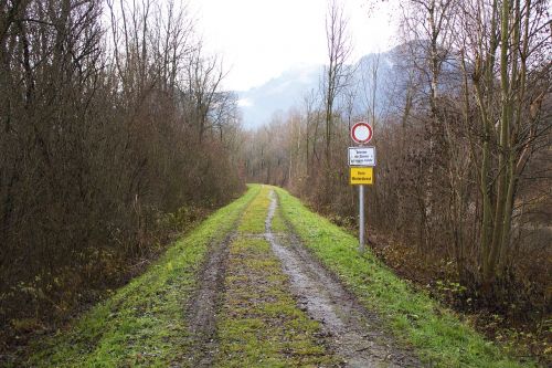 Vokietija, Bavarija, Miškas, Europa, Kelionė, Kelias, Takas, Medžiai