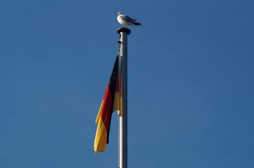 Vokietija, Vėliava, Vėjas, Plazdėjimas