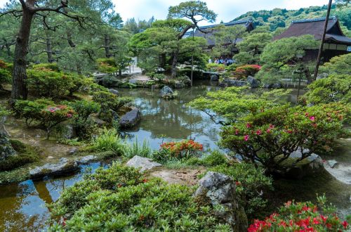 Ginkaku-Ji Sodai, Kyoto, Japonija, Gamta, Gėlės, Vanduo, Tvenkinys, Japanese, Ginkakuji, Parkas