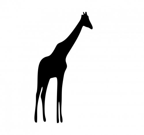 Žirafa,  Juoda,  Siluetas,  Gyvūnas,  Laukiniai,  Laukinė Gamta,  Gamta,  Menas,  Iliustracija,  Scrapbooking,  Figūra,  Balta & Nbsp,  Fonas,  Žirafa