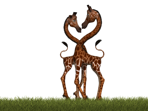 Žirafa, Žinduolis, Juokinga, Fantazija, Skaitmeninis Menas, Izoliuotas