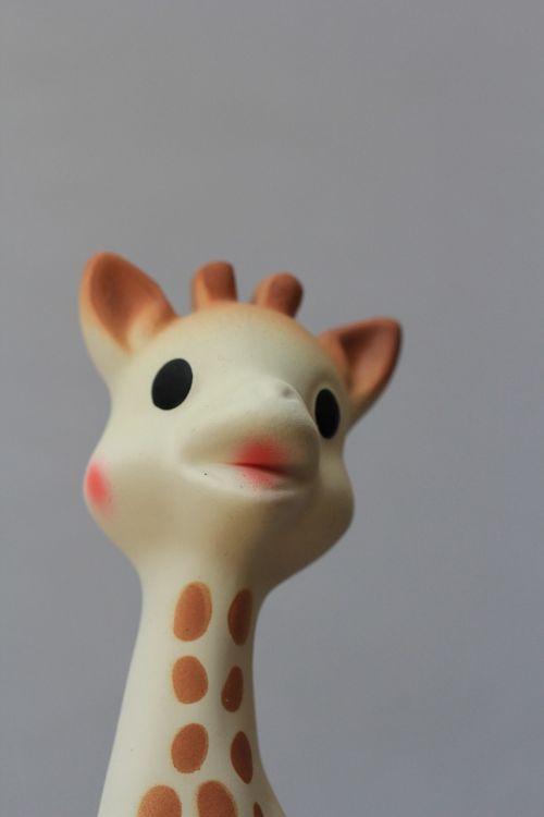 Žirafa, Kūdikis, Žaislas, Sophy, Guma