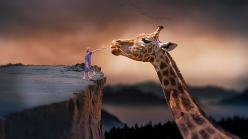 Žirafa, Maitinimas, Vaikas, Manipuliavimas Nuotraukomis, Gamta