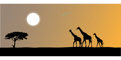 Žirafa, Gyvūnas, Siluetas, Safari, Afrika, Žirafos Siluetas, Afrikos, Afrikietiškas Kraštovaizdis, Vaizdas, Panorama, Kraštovaizdis, Savanna, Nemokama Vektorinė Grafika