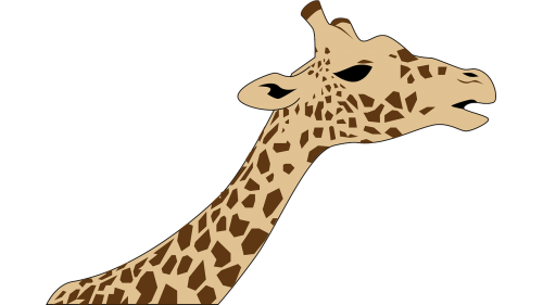 Žirafa, Safari, Zoologijos Sodas, Laukiniai, Gamta, Afrikos, Laukinė Gamta, Animacinis Filmas, Dramblys, Dizainas, Rinkimas, Atogrąžų, Charakteris, Spalvinga, Aukštas, Laimingas, Gyvūnas