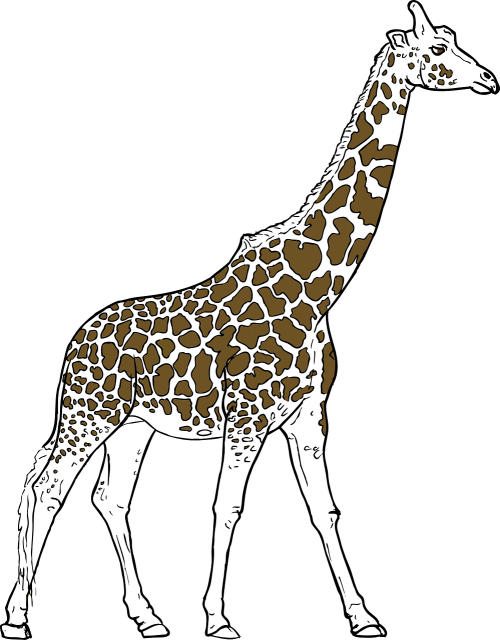 Žirafa, Gyvūnas, Dėmės, Ilgai, Stovėti, Ruda, Balta, Gamta, Laukiniai, Nemokama Vektorinė Grafika