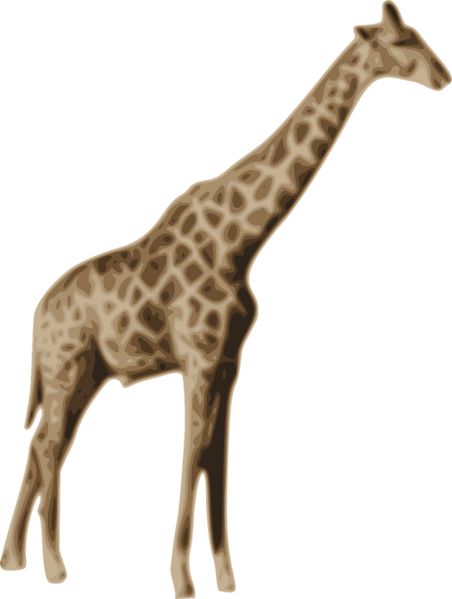Žirafa, Gyvūnas, Žinduolis, Žolėdis, Kaklas, Ilgai, Dėmės, Laukinė Gamta, Nemokama Vektorinė Grafika