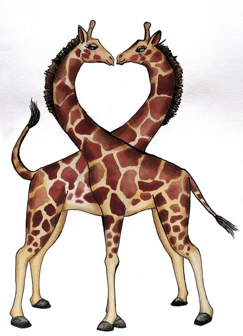Žirafa, Širdis, Meilė, Gyvūnai, Apdaila, Bučinys, Piešimas