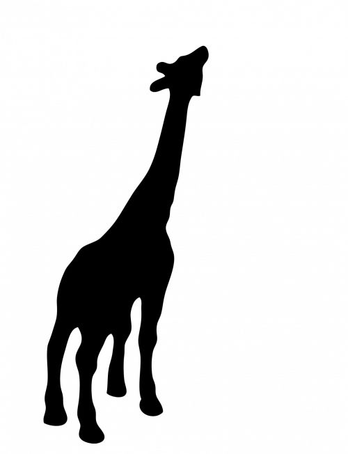 Žirafa,  Gyvūnas,  Laukiniai,  Laukinė Gamta,  Juoda,  Siluetas,  Balta,  Fonas,  Menas,  Iliustracija,  Scrapbooking,  Žirafos Juodas Siluetas