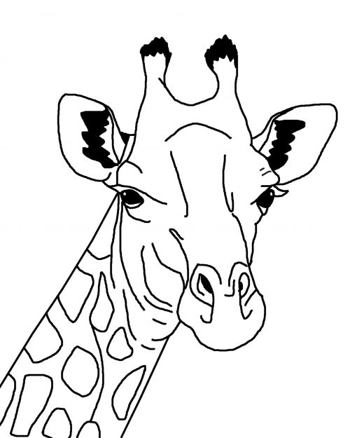 Žirafa,  Gyvūnas,  Kontūrai,  Iliustracija,  Animacinis Filmas,  Dažymas,  Knyga,  Puslapis,  Žirafos Kontūro Iliustracija