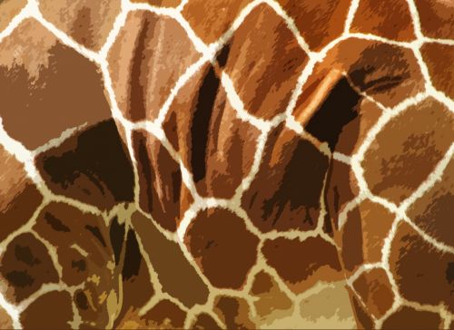 Žirafa,  Oda,  Modelis,  Fonas,  Tapetai,  Popierius,  Tekstūra,  Ruda,  Menas,  Iliustracija,  Scrapbooking,  Gyvūnas,  Laisvas,  Viešasis & Nbsp,  Domenas,  Žirafos Odos Modelio Fonas