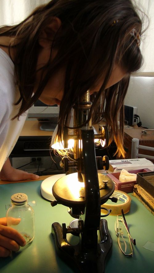 Mergaitė, Mikroskopas, Mokslas