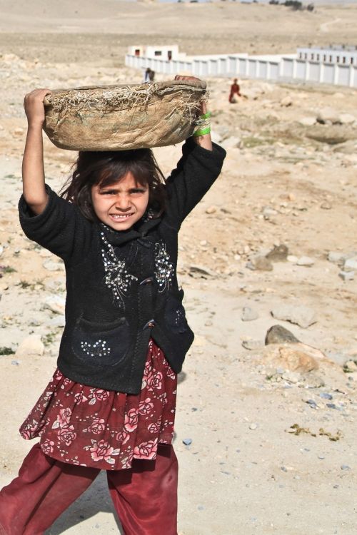 Mergaitė, Afghani Person, Vienas, Vaikas, Vaikų Darbas, Darbo, Vežti