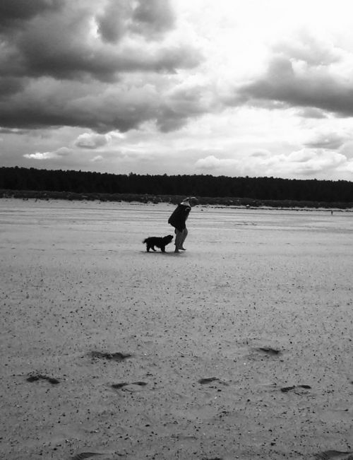 Šuo,  Mergaitė,  Papludimys,  Vaikščioti,  Smėlis,  Dangus,  Debesis,  Mergina Pėsčiomis Šunį Paplūdimyje