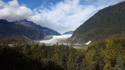 Ledynas, Alaska, Miškas, Juneau