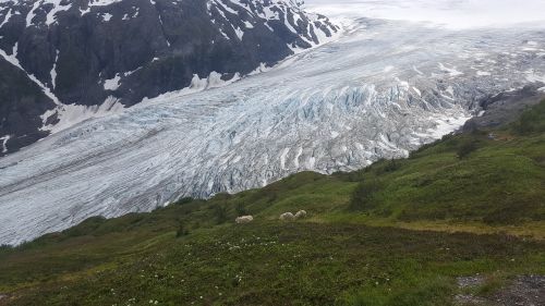 Ledynas, Vaizdingas, Kraštovaizdis, Gamta, Ledas, Alaska