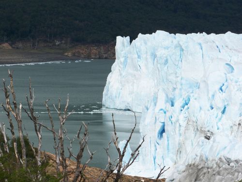 Ledynas, Perito Moreno, Argentina, Gamta