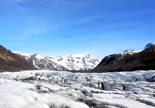 Ledynas,  Islandija,  Sniegas,  Vilkas,  Kalnų,  Gamta