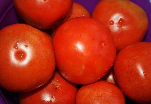 Vaisiai,  Pomidorai,  Raudona,  Apvalus,  Blizgantis,  Sveikas,  Pagaminti,  Gleaming Pomidorai