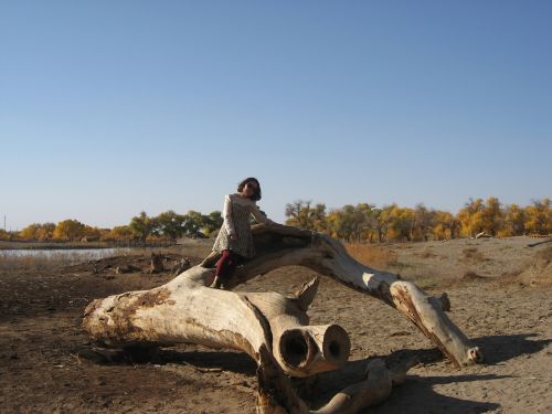 Gobis, Populus, Ejina