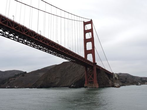 Auksinių Vartų Tiltas, San Franciskas, Žuvis, Usa