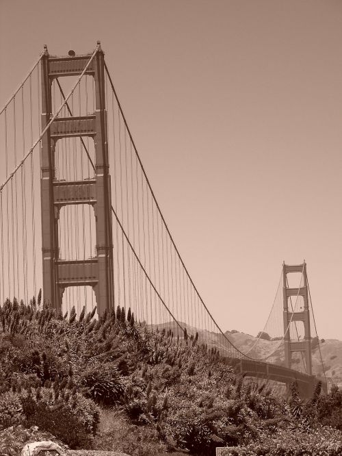 Auksinių Vartų Tiltas, Jungtinės Valstijos, San Franciskas, Tiltas, Kabantis Tiltas