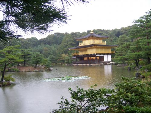 Auksinis,  Šventykla,  Japonija,  Ežeras,  Auksinė Šventykla Japonijoje
