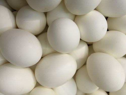 Žąsies Kiaušinis, Žąsų Kiaušiniai, Velykinis Kiaušinis, Apdaila, Kiaušinis, Velykos, Pavasaris, Deco-Ei, Natūralus Produktas, Velykų Lizdas, Natūralus Produktas Deco