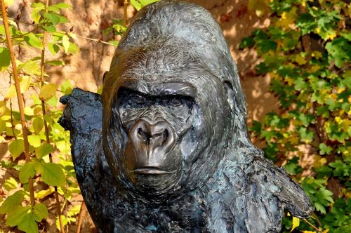 Gorila, Bronzos Skulptūra, Wolfgang Weber, Matze, Statula, Beždžionė, Zoo Frankfurt