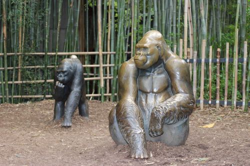 Gorila, Zoologijos Sodas, Gamta