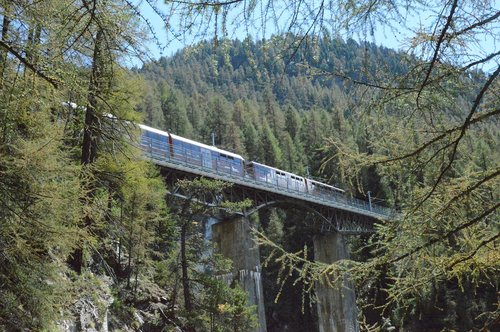 Gornergrat Bahn,  Riffelalp,  Findelbach,  Tiltas,  Šveicarija,  Traukinys,  Miškas,  Medžiai Geležinkelio