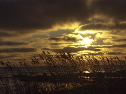 Gotland, Ruduo, Jūra