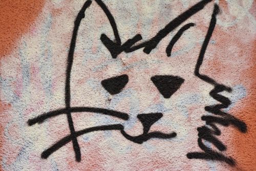 Grafiti, Katė, Hauswand, Gatvės Menas, Purkšti, Dažytos Sienos, Kačių Veido, Dažytos, Tinkas
