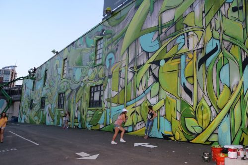 Grafiti, Fjeras, Sienų Menas, Graffiti Menininkas, Ian Ross, Našvilis, Gurkšnis, Nashville Sienos Projektas