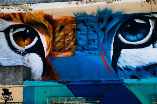 Grafiti, Tigras, Katė, Kačių, Fjeras, Komuna, Medellin, Kolumbija, Menas, Miesto