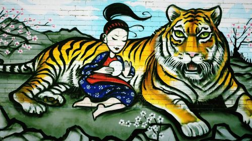 Grafiti, Tigras, Mergaitė, Dažyti, Siena, Purkšti