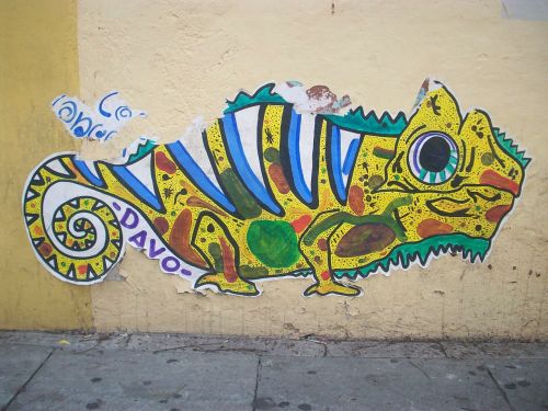 Grafiti, Spalvinga, Dažyti, Dizainas, Driežas, Gyvūnas, Piešimas, Spalva, Meno, Siena, Oaksaka, Meksika