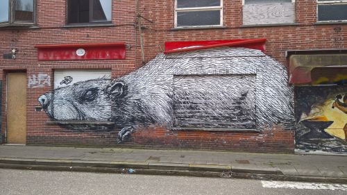 Grafiti, Doel, Belgija