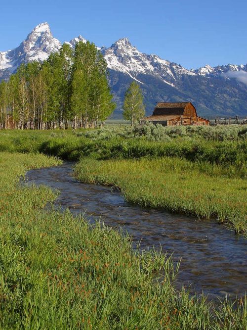 Grand Teton Nacionalinis Parkas, Mormono Eilės Svirnas, Vajomingas, Usa, Gamta, Kalnai, Nacionalinis Parkas, Bachas, Upė