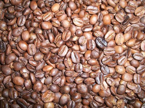 Kava,  Kofeinas,  Gerti,  Aromatiniai,  Kavos Pupelės