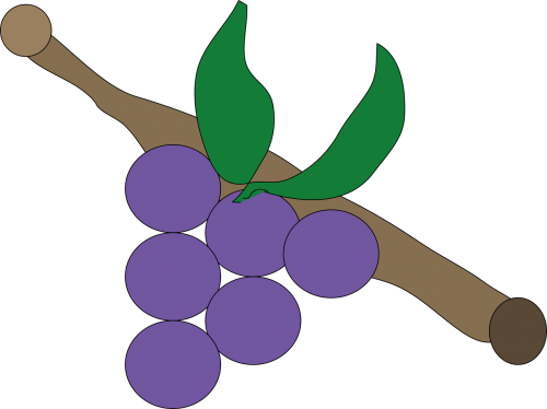 Vynuogė, Lila, Violetinė, Nemokama Vektorinė Grafika