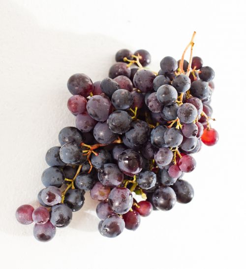 Vynuogė,  Vynuogių Auginimas,  Vynmedis