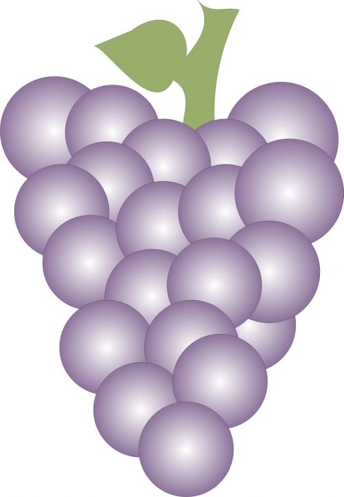 Vynuogės, Vaisiai, Klasteris, Violetinė